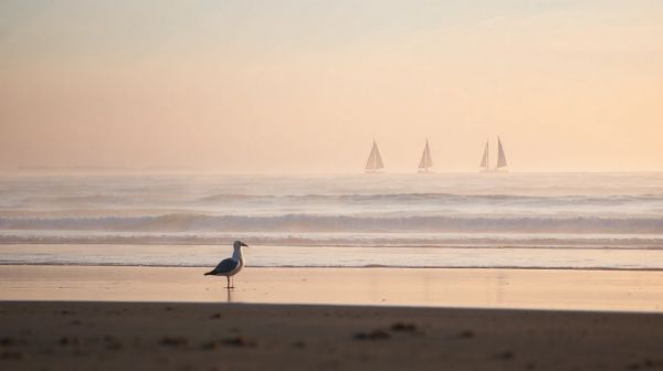 Top conseils pour une thalasso parfaite en Bretagne nord